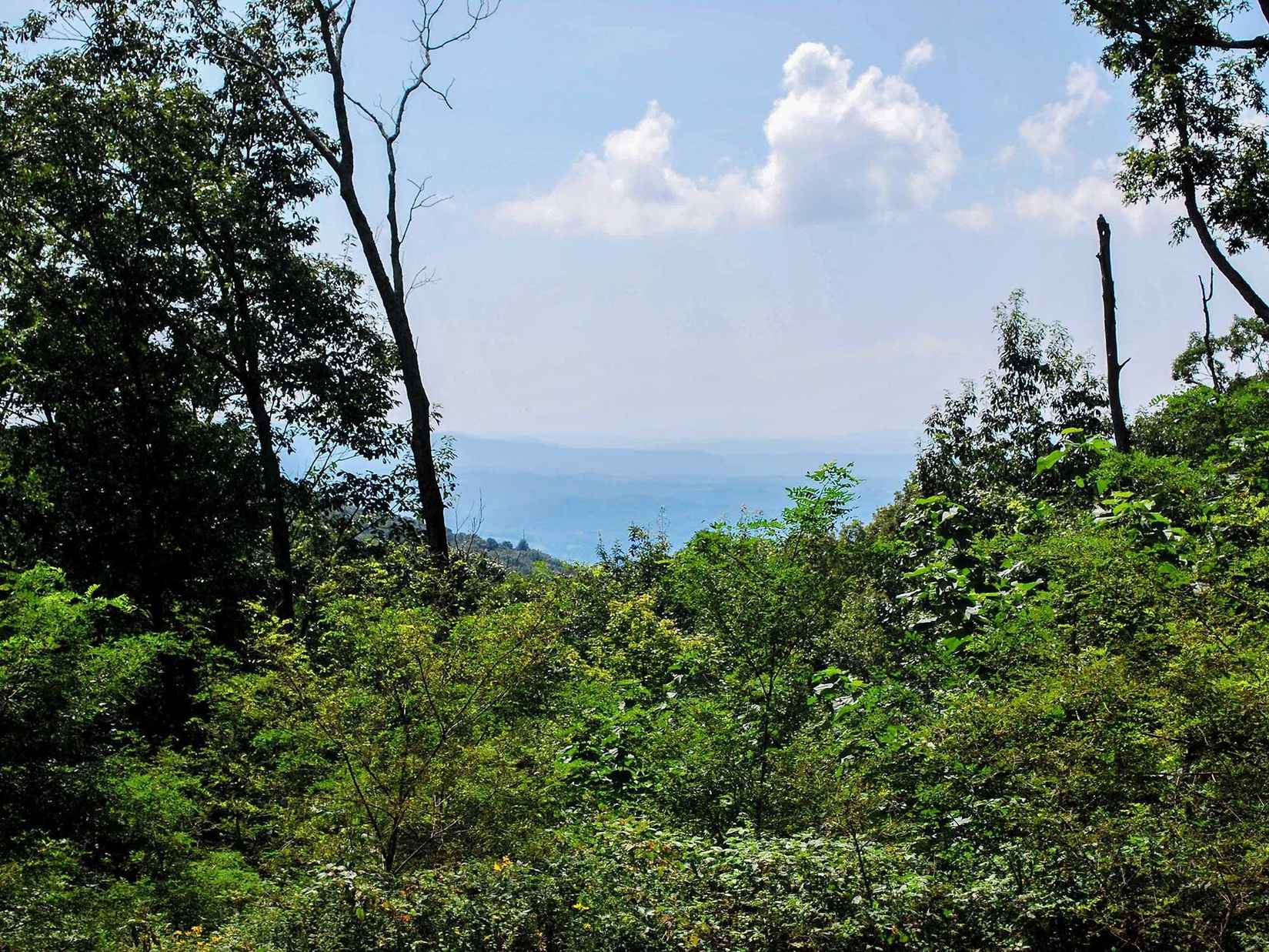 704 Summit Vlg Trl  