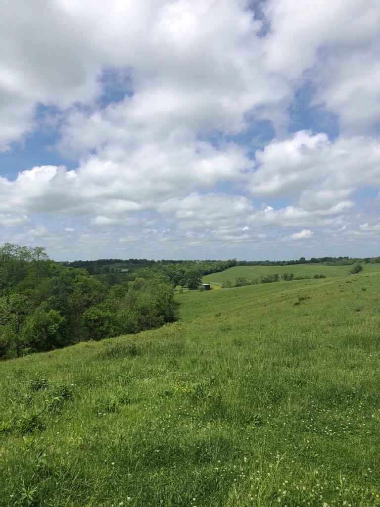 1272-A Moorefield Rd  