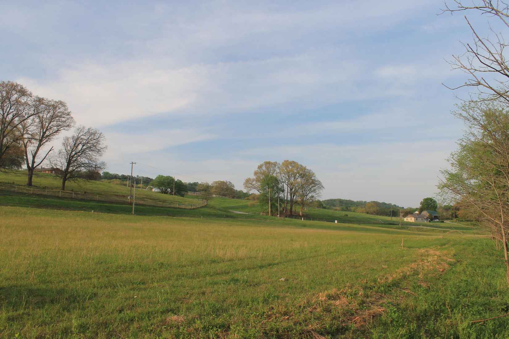 Lot 6 Roddy Br Rd  