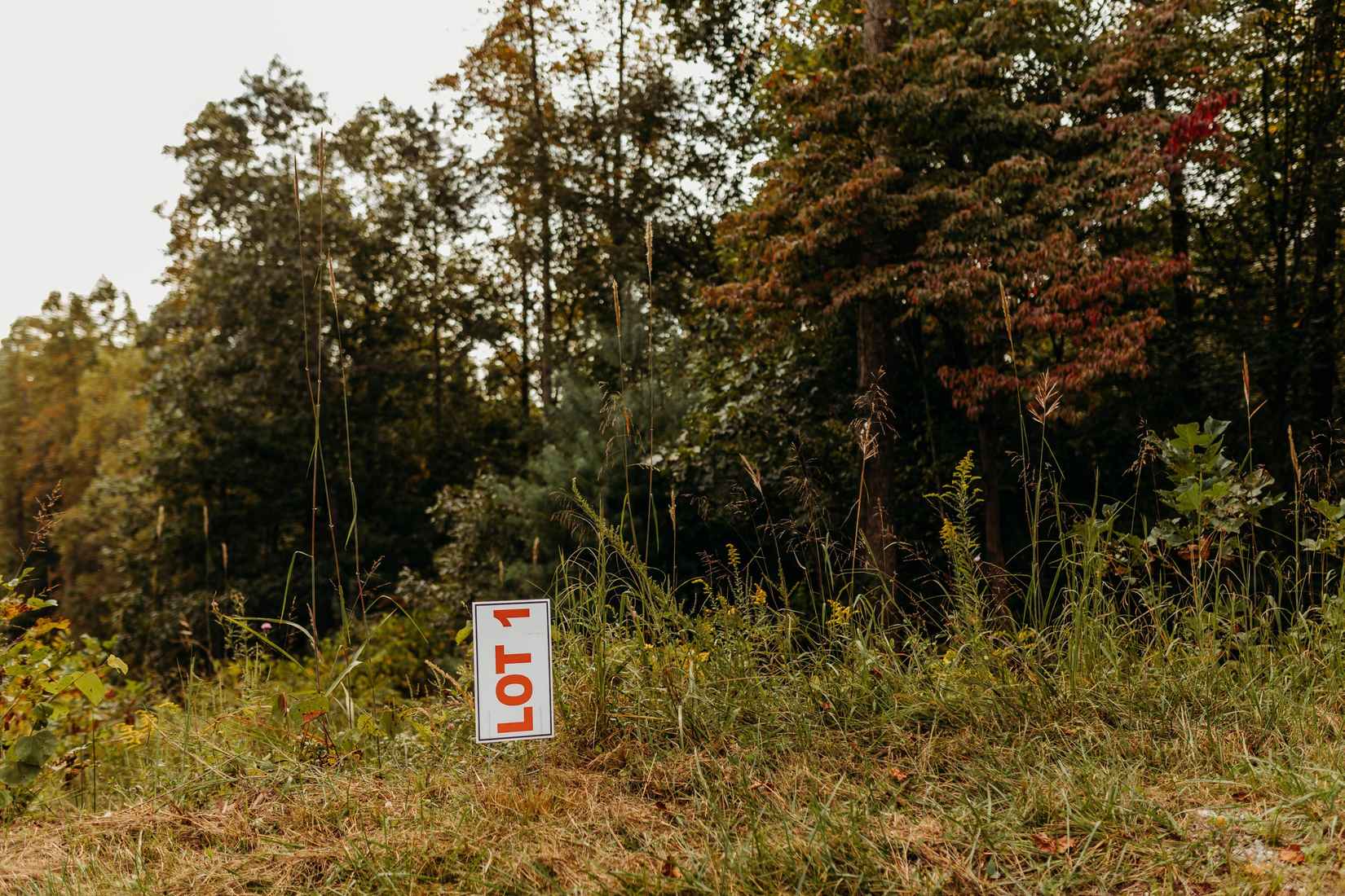 TBD Lot 1 Sandy Rdg Rd  