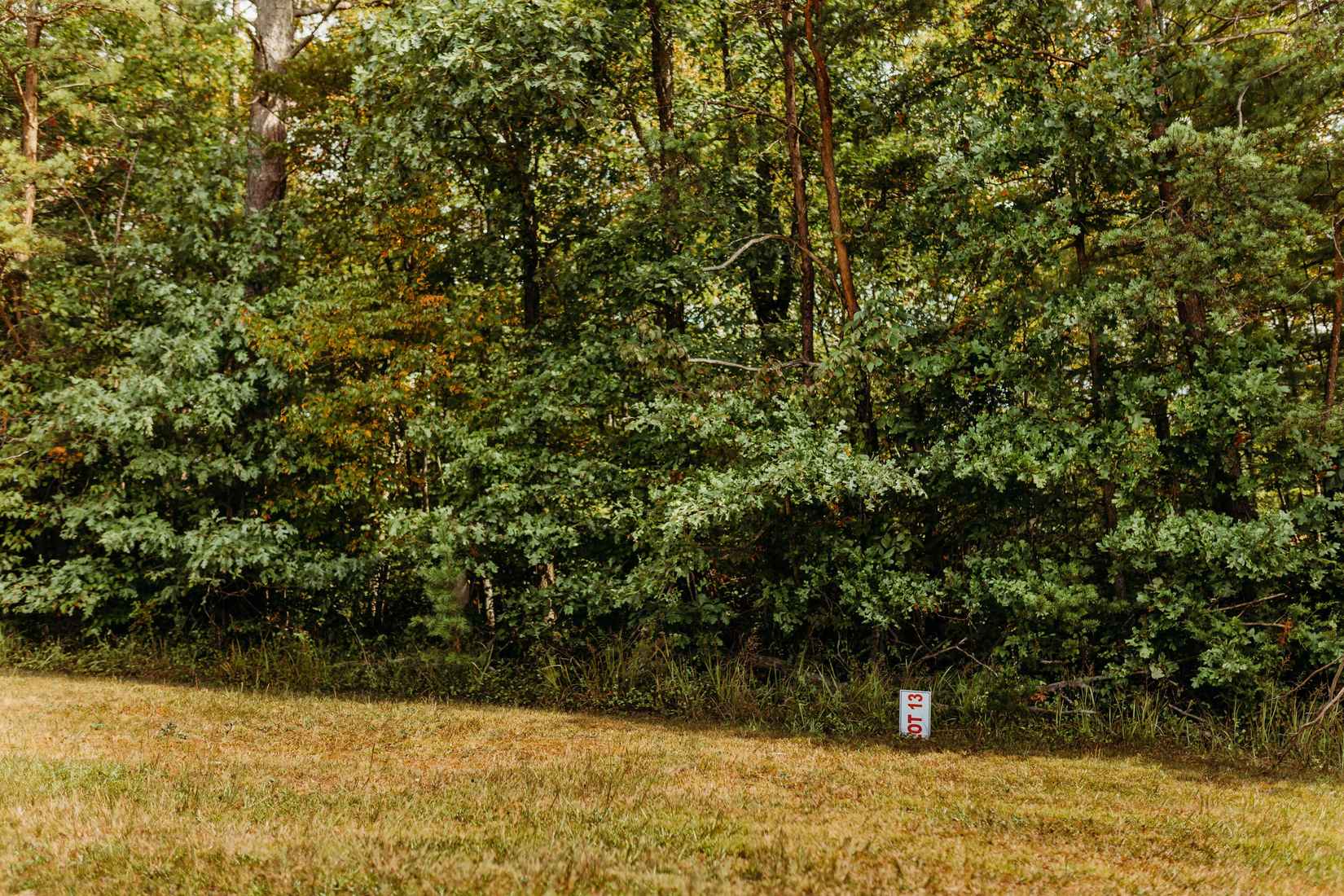 TBD Lot 13 Sandy Rdg Rd  