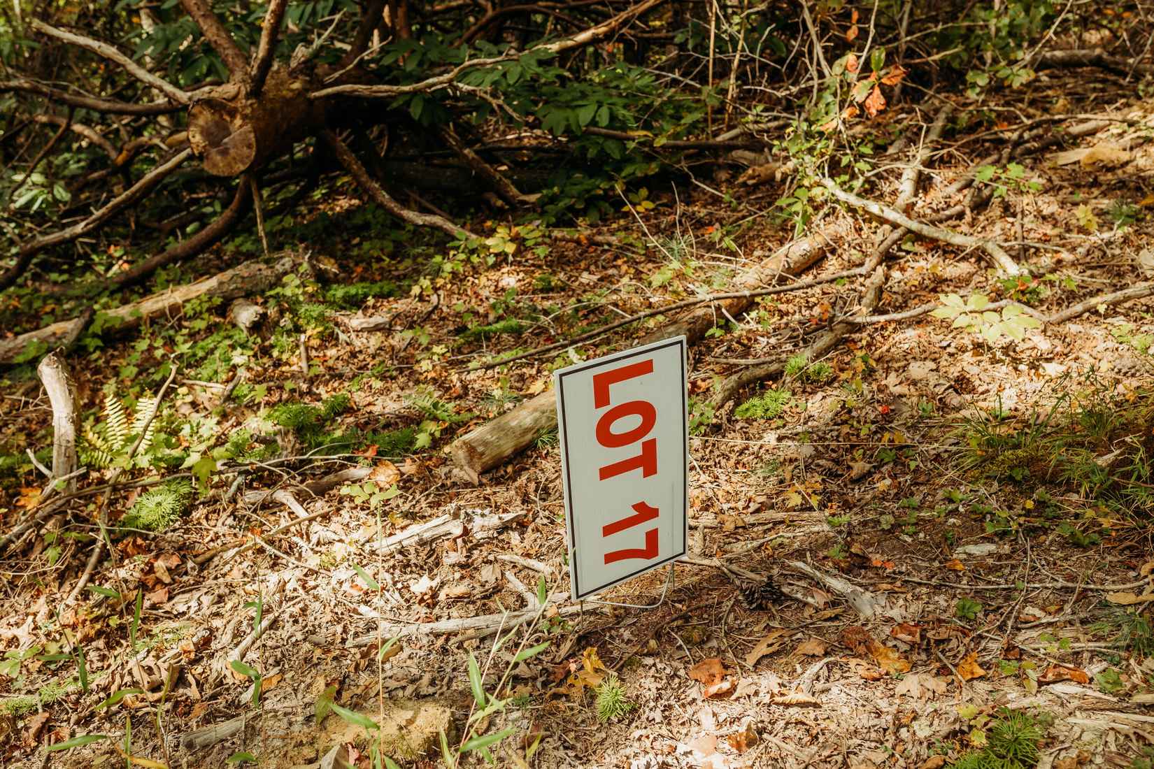 TBD Lot 17 Sandy Rdg Rd  