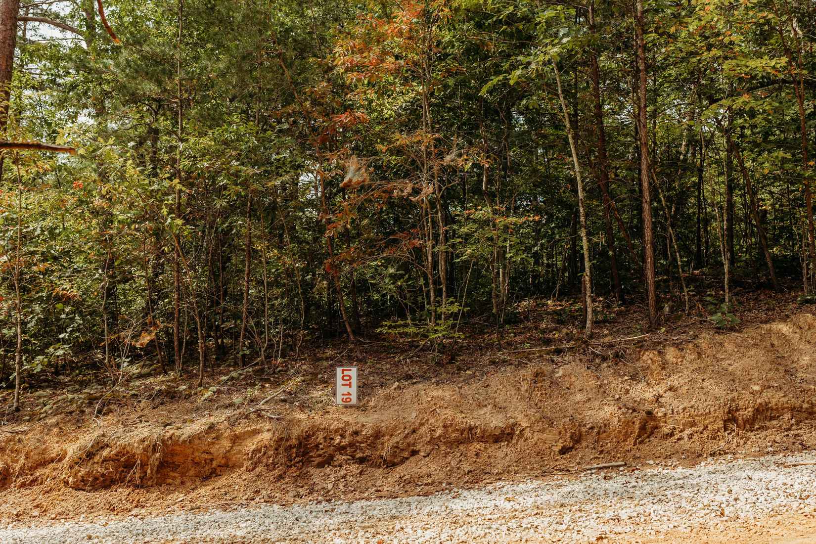 TBD Lot 19 Sandy Rdg Rd  