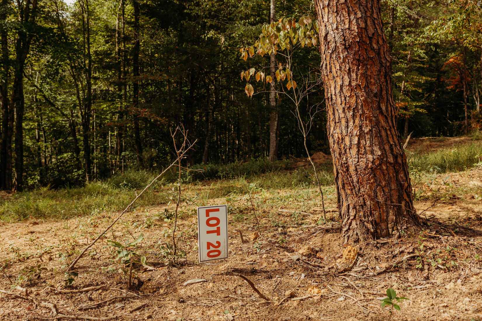 TBD Lot 20 Sandy Rdg Rd  