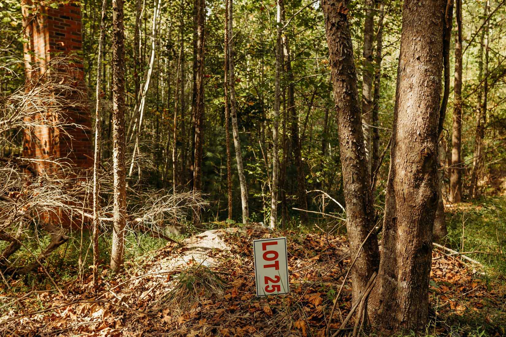 TBD Lot 25 Sandy Rdg Rd  