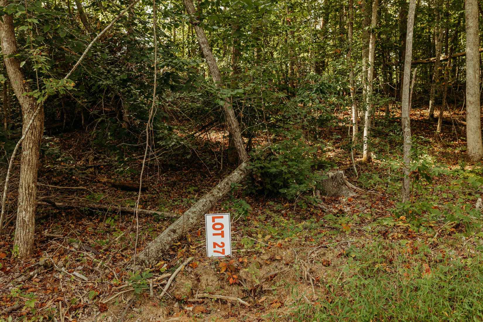 TBD Lot 27 Sandy Rdg Rd  