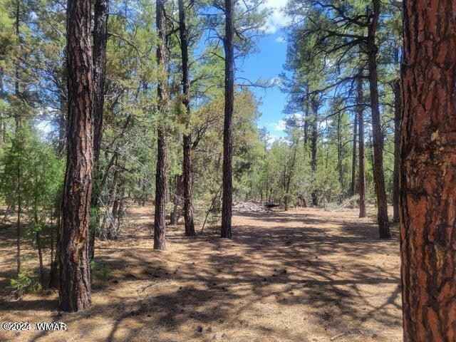 49 S Hidden Oaks Dr  