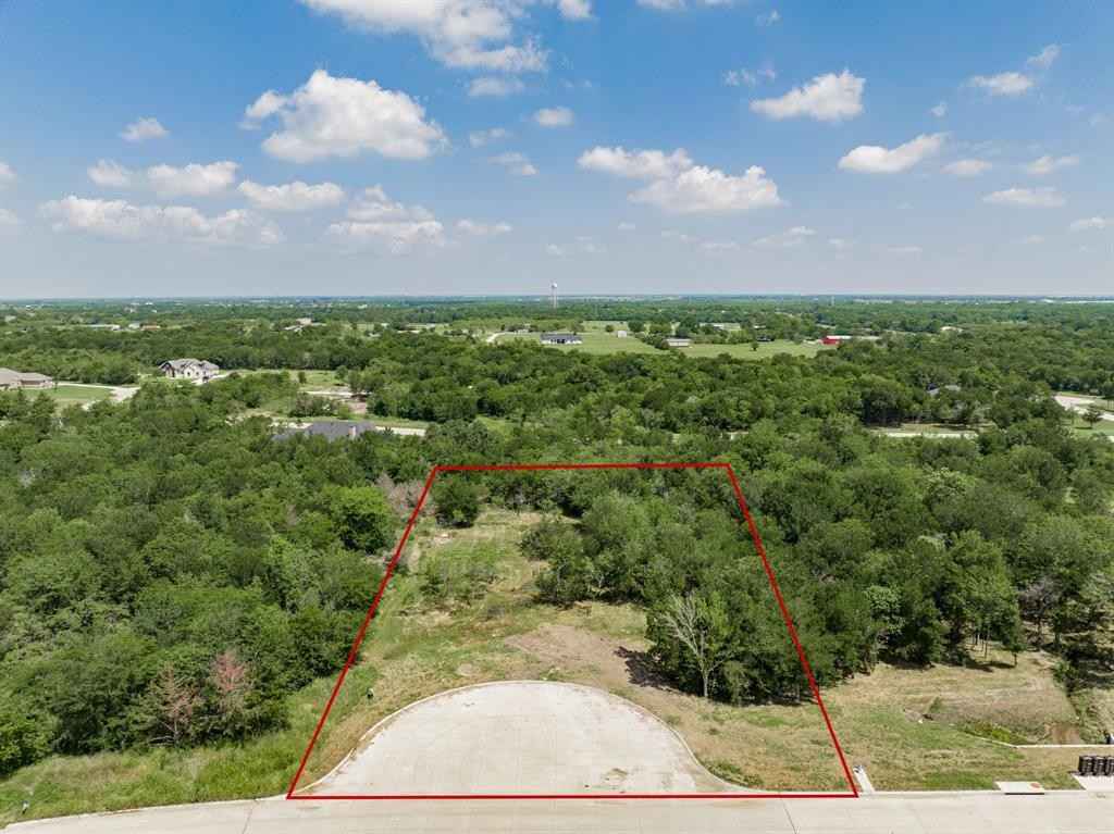 4054 Weeping Oak  