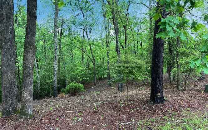 Lot 7 Brasstown Trails  