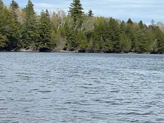 Lot Unit 48 Boat Access Only St  