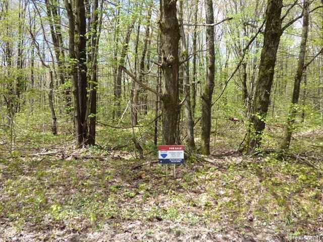 000 Valleywood Cir  