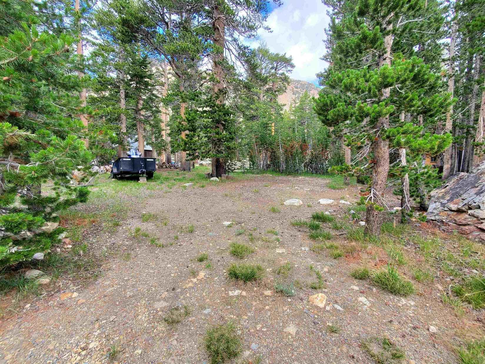 6 Lodgepole Dr  