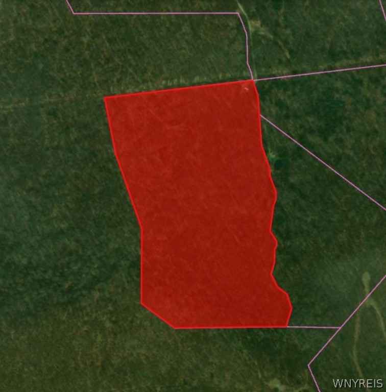 0 Upper Birch Run Rd  