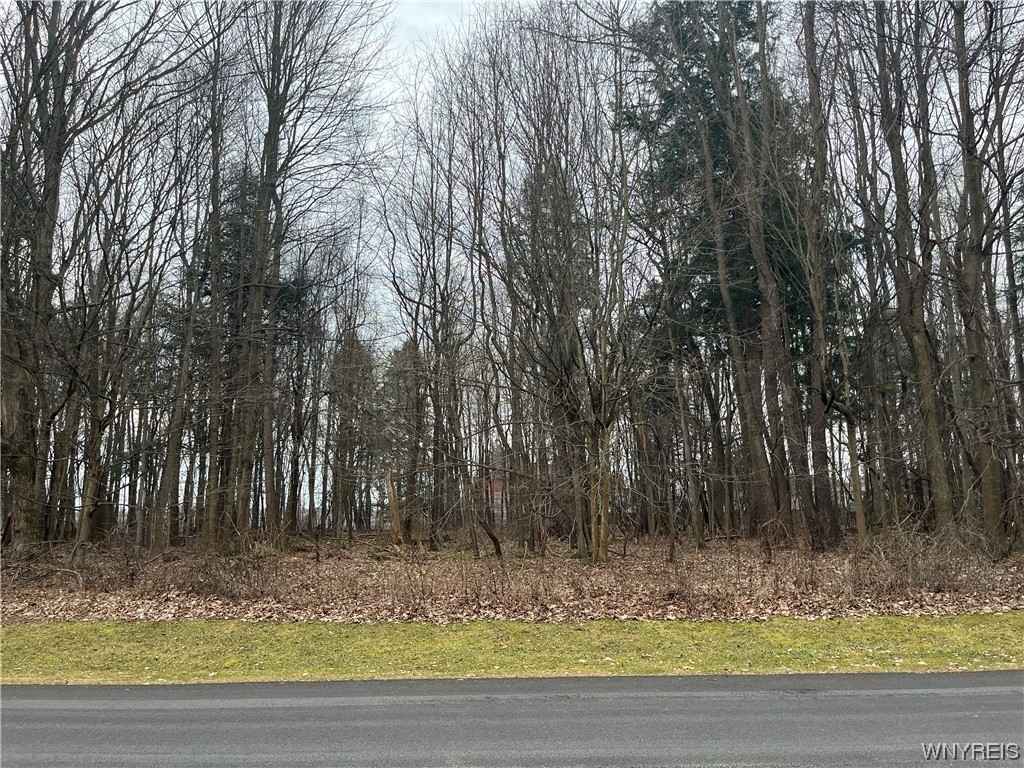 Vl Edgewood Lot Unit 3 Dr  