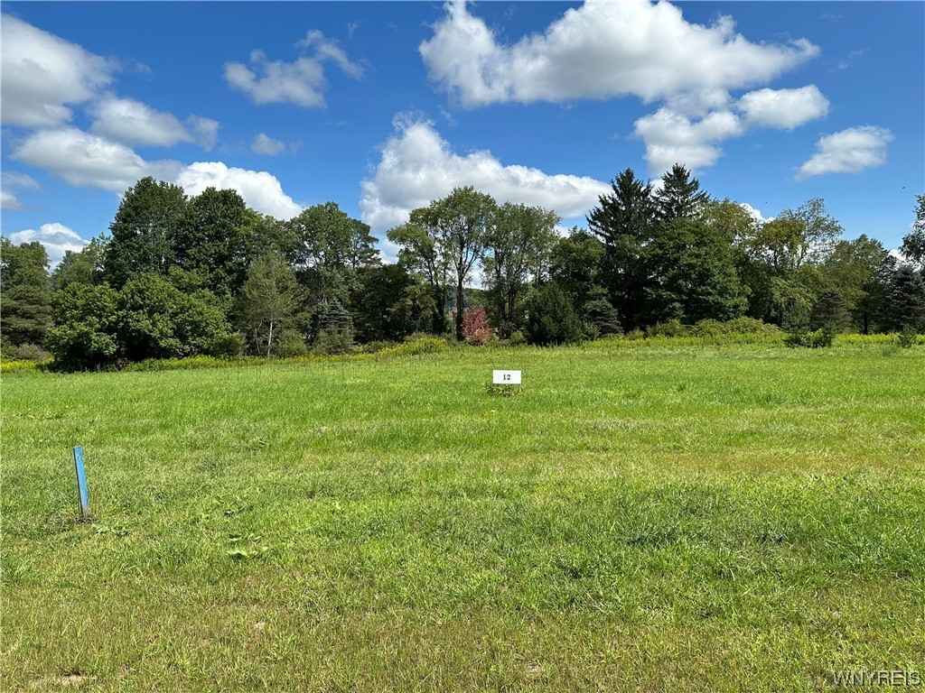 Lot 12 Tanglewood Development  