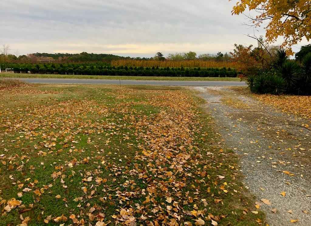 Lot 5 BAYSIDE RD  