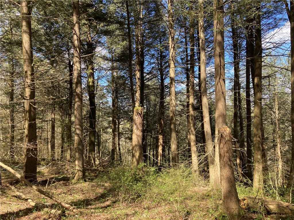 0 E Boulder Mountain Rd E  