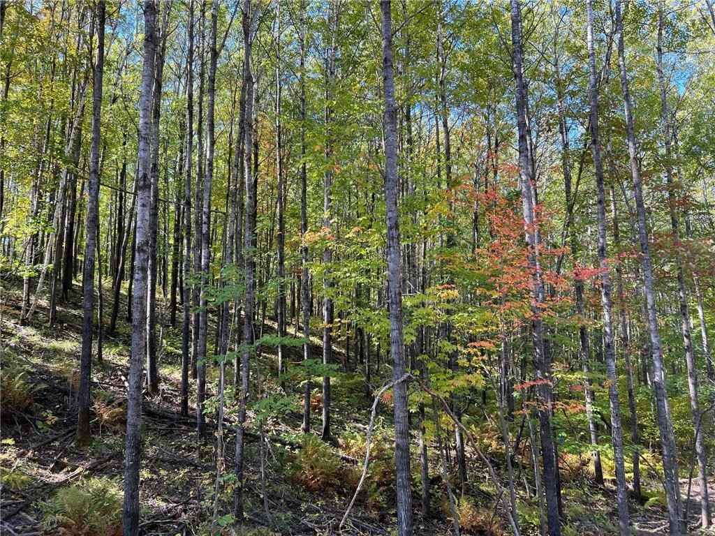 Tbd Lot 4 Blk 4 Ridgeway Ln  