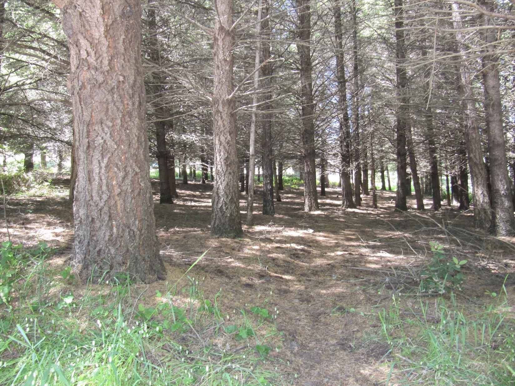 8936 Shelter Cv Rd  