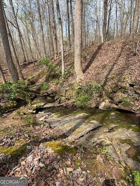 0 East Fairview Rd SW  