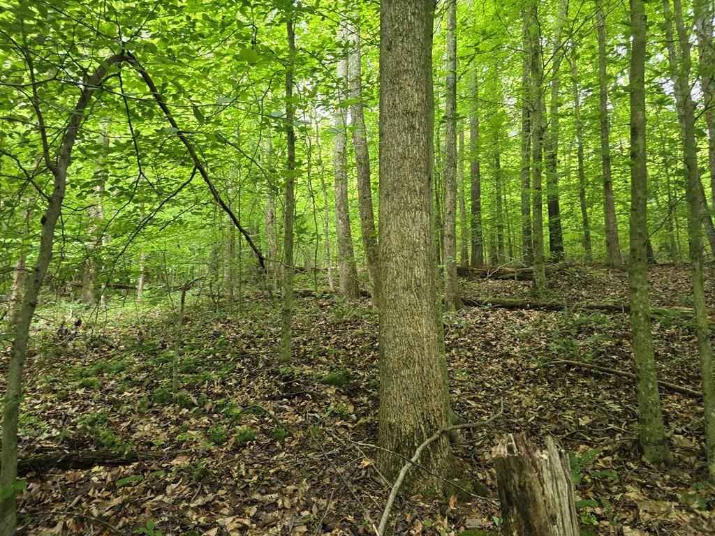 Lot 32 Old Stevens Rd /Big Sky Rd  