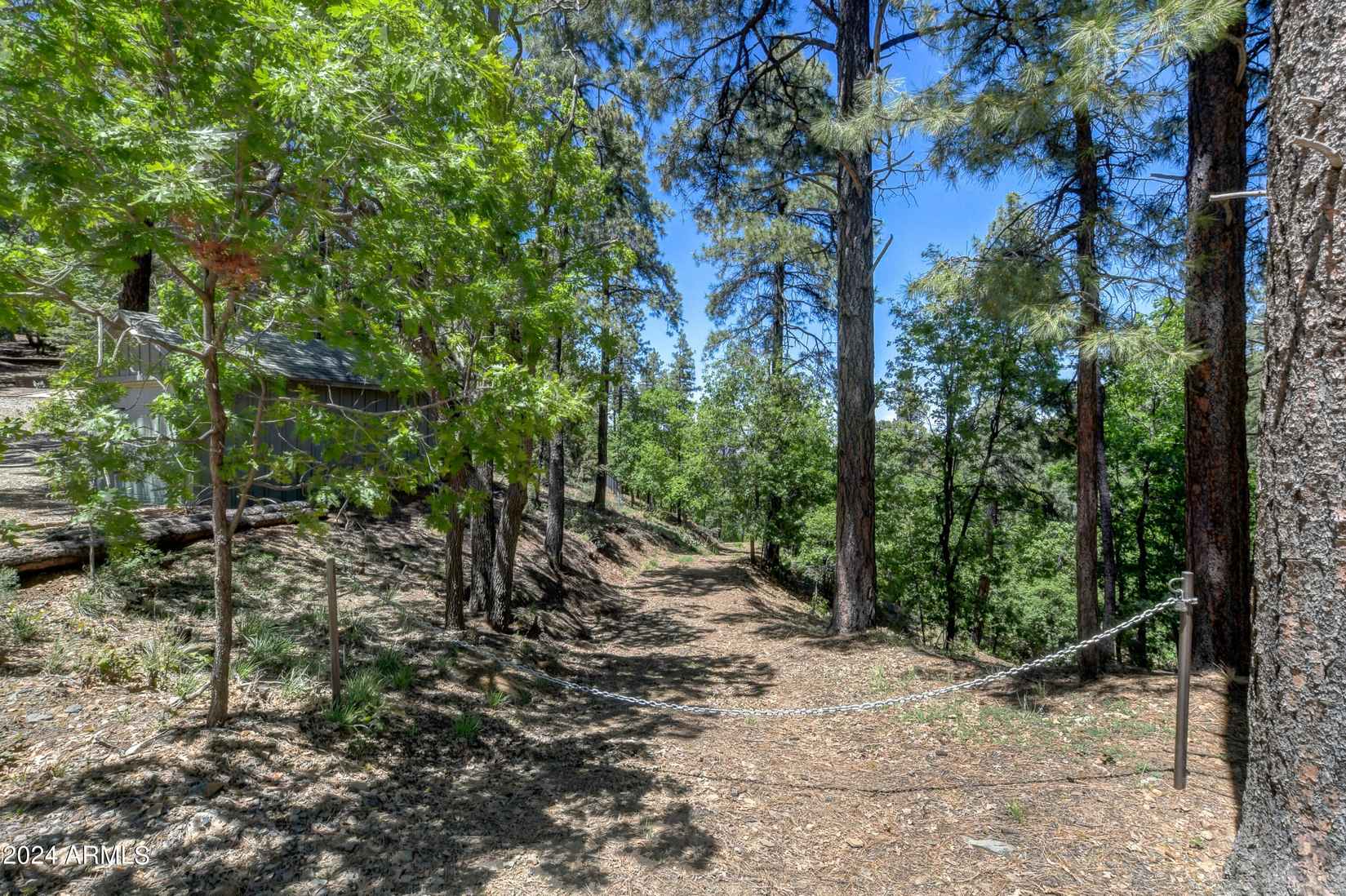 2960 Spruce Mountain VL- 4 06 acres --  