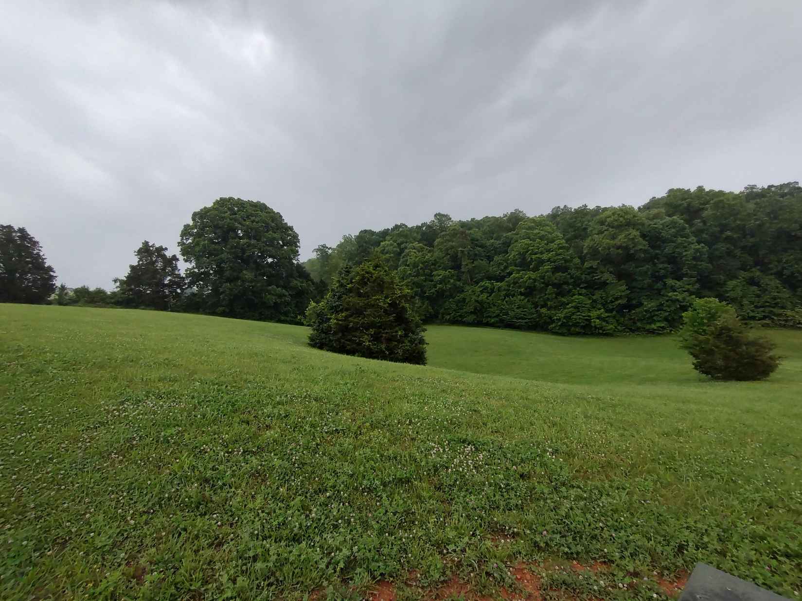 Lot 65 COW POKE LN  