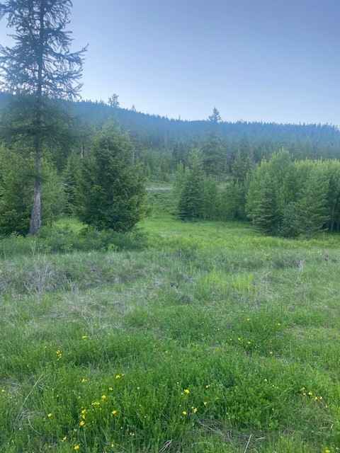 991 Haskill Rnch Rd  