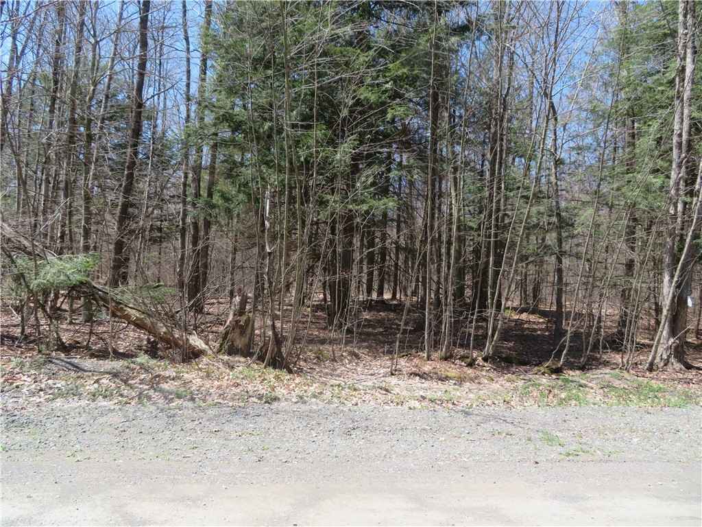 Lot 15 1 Ward Loomis Rd  
