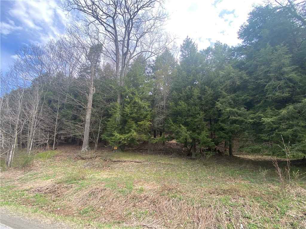 0- (lot B) Piermott Ln  
