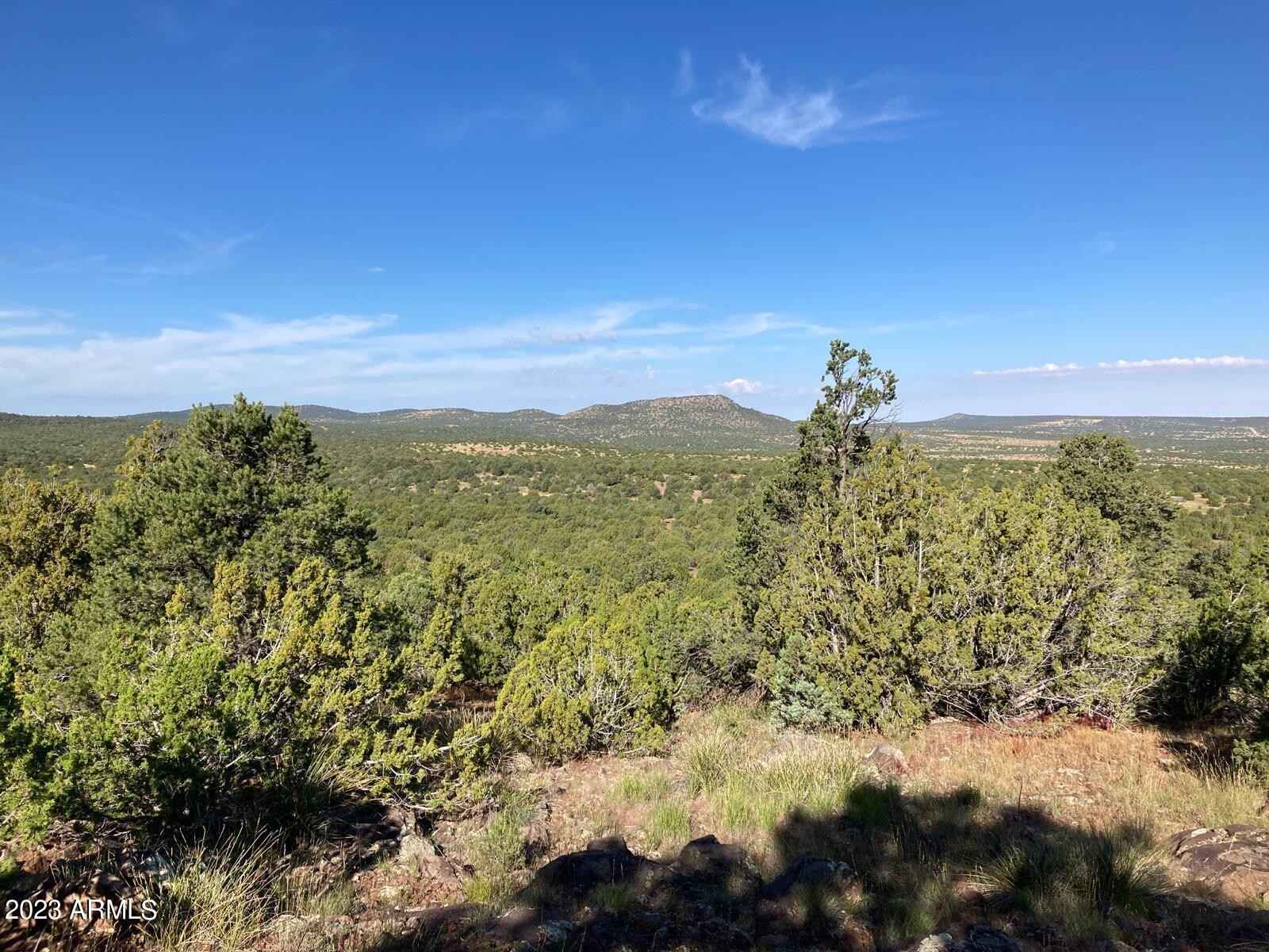 162 County Rd 3109 --  