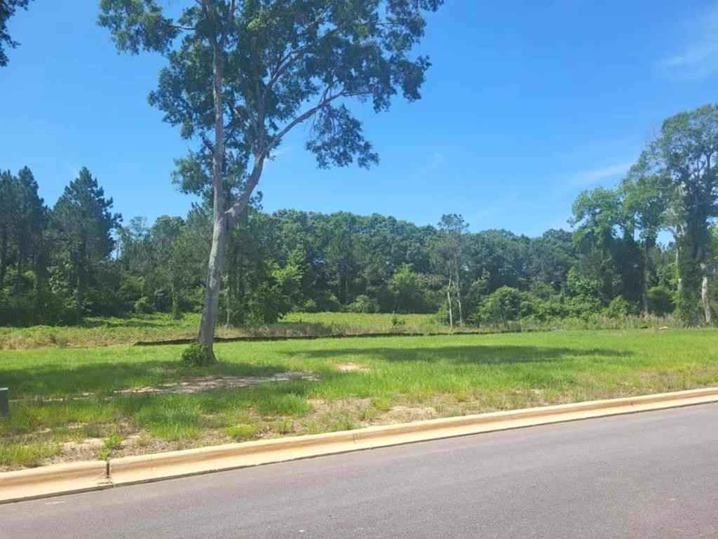 196- Lot 16 Golden Oaks Cir  