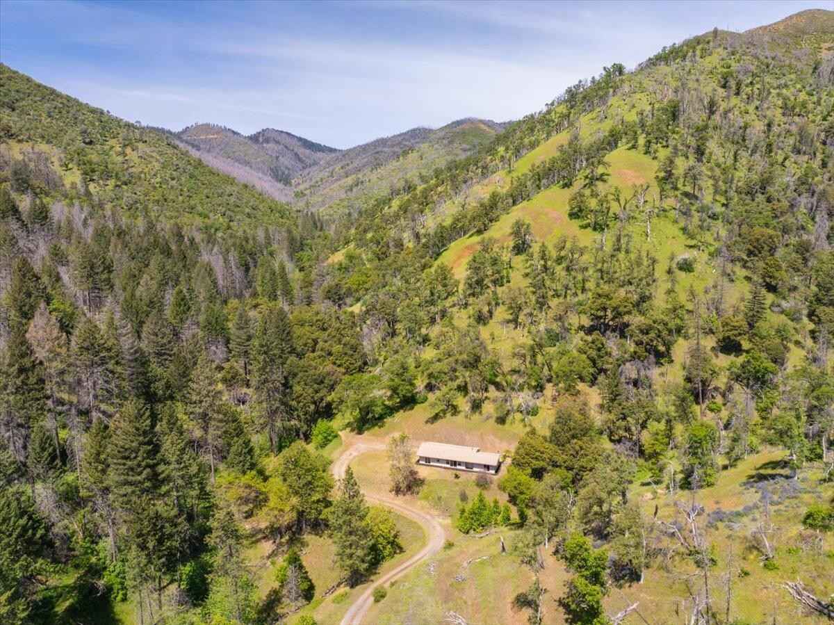 13241 Trl Gulch  