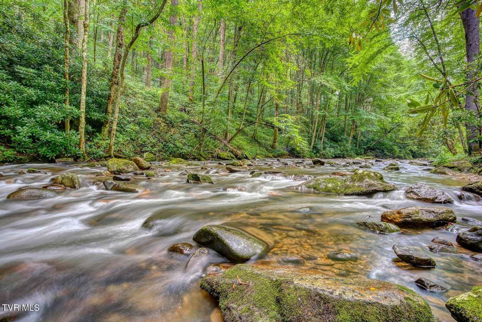 206 Toms Creek Cir Cir  