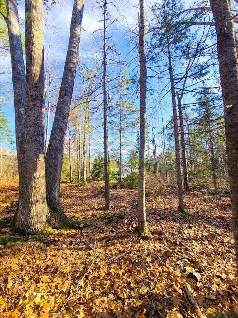 Lot 45 Woodland Hts  