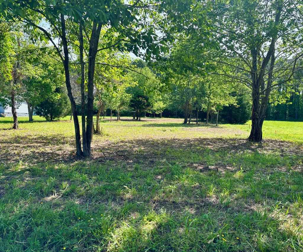 0000 PINE MEADOWS Way  