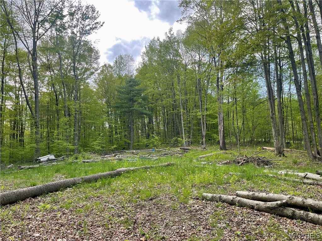 0 Pine Hl Rd  