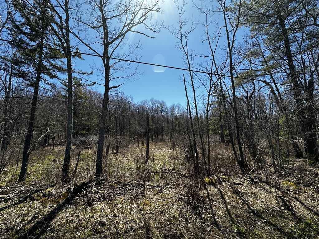 Lot 2 North Rd  
