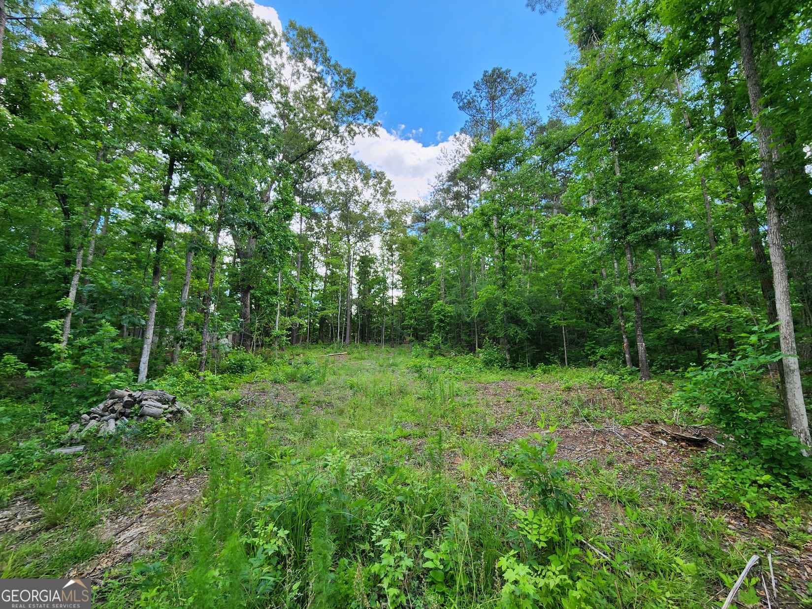 Lot 165 Sycamore Dr  