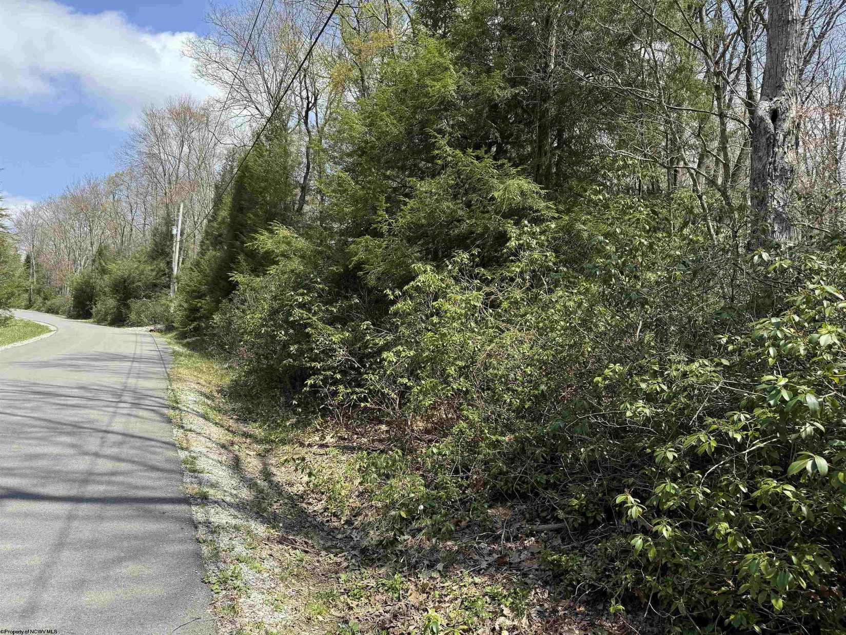 Lot 246 Azalea Ln  