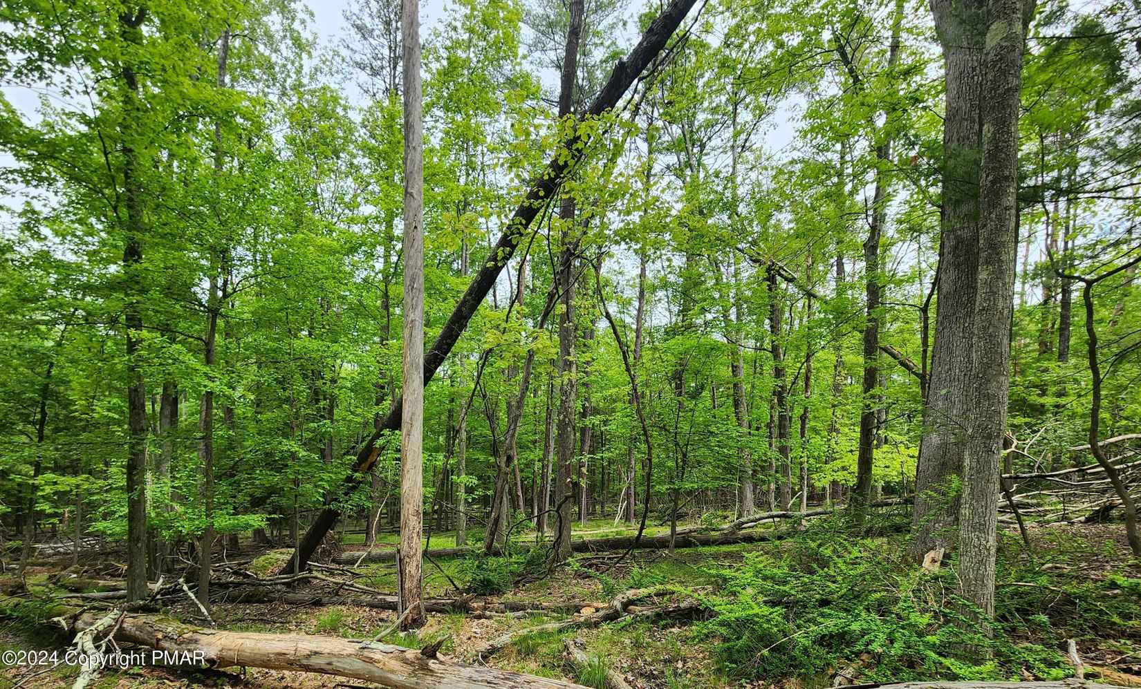 Lot 3191 Marshall Dr  