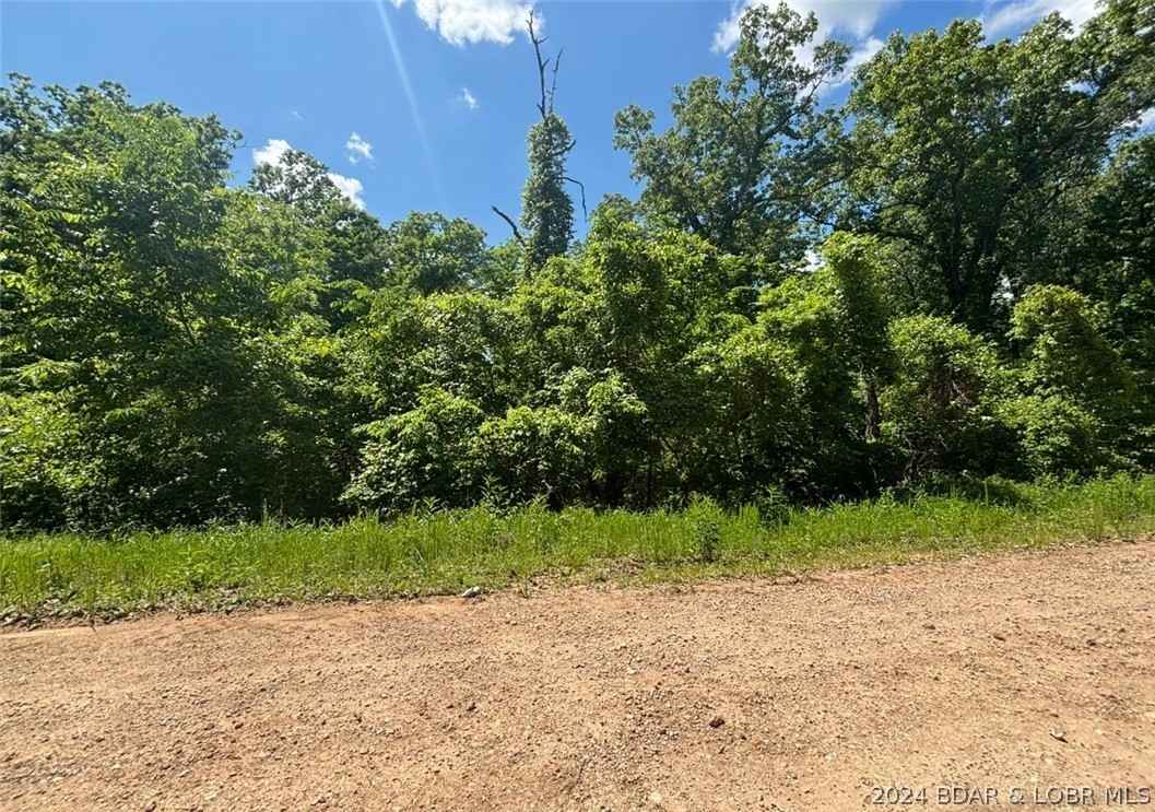 2 67 Acres Camellia Rd  