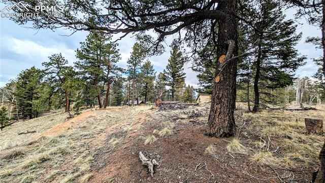 56 Rampart Cir  