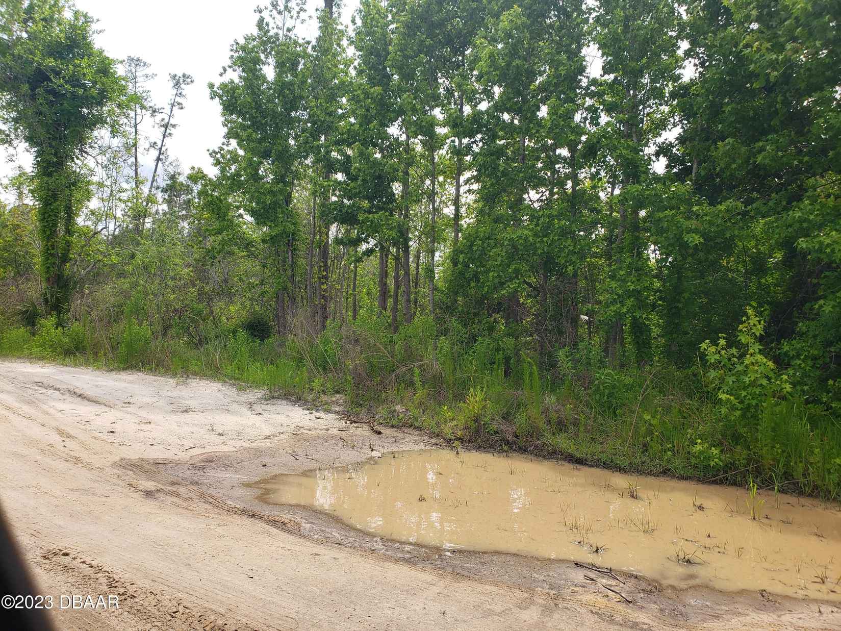 000 Cooter Pond Rd  