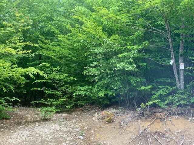 Lot 1 Northern Way  