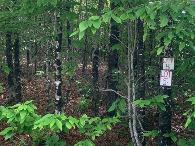 Lot 5 Northern Way  