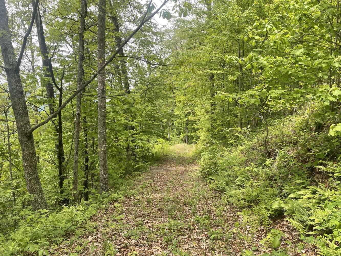 0000 Big Boulder Rdg  