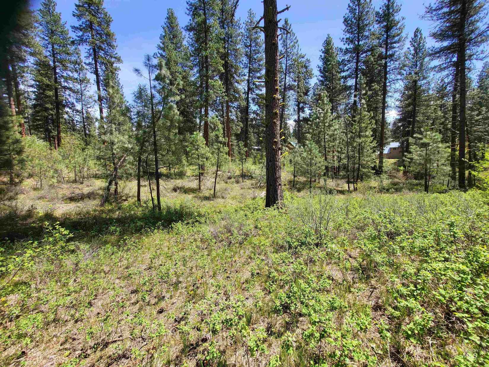 11 Reinhart Rd Lot Unit 17  