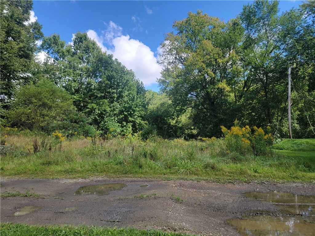 117 MCKINLEY AVE EXT  