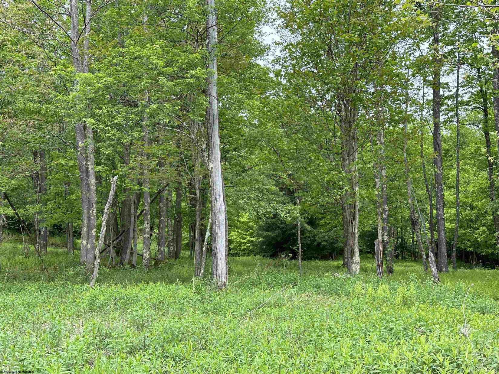 Lot 68 Venice Pl  
